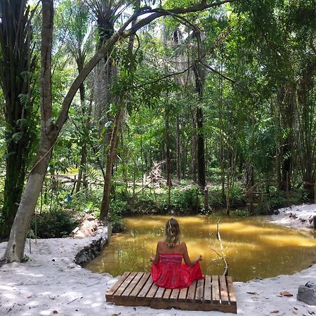 Recanto Dos Passaros Zen Apartamentos Em Meio De Natureza Praia do Forte Eksteriør bilde