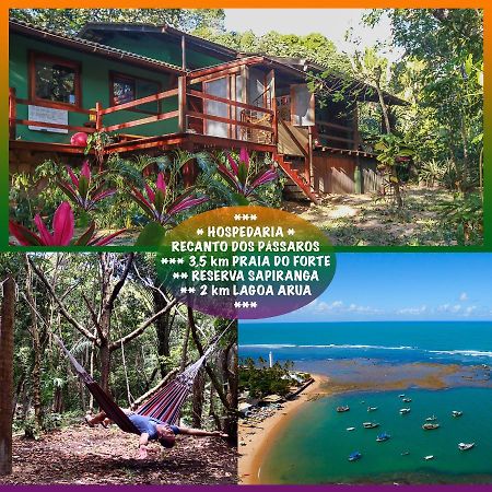 Recanto Dos Passaros Zen Apartamentos Em Meio De Natureza Praia do Forte Eksteriør bilde
