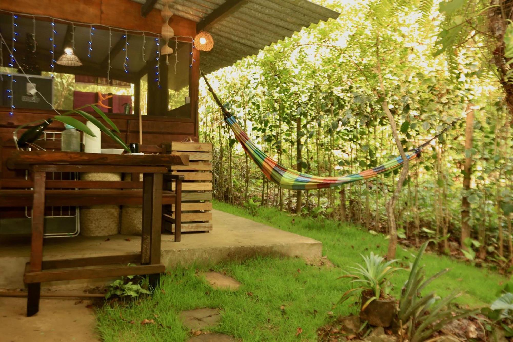 Recanto Dos Passaros Zen Apartamentos Em Meio De Natureza Praia do Forte Eksteriør bilde