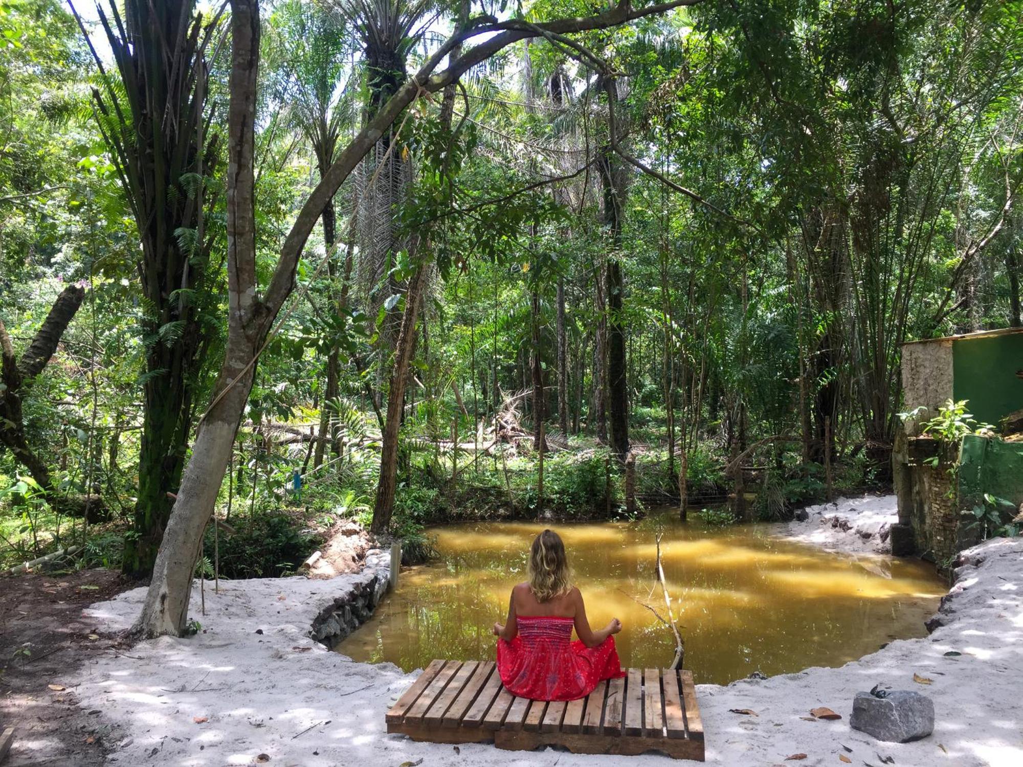 Recanto Dos Passaros Zen Apartamentos Em Meio De Natureza Praia do Forte Eksteriør bilde