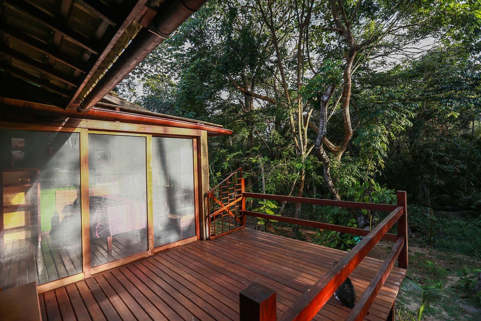 Recanto Dos Passaros Zen Apartamentos Em Meio De Natureza Praia do Forte Eksteriør bilde