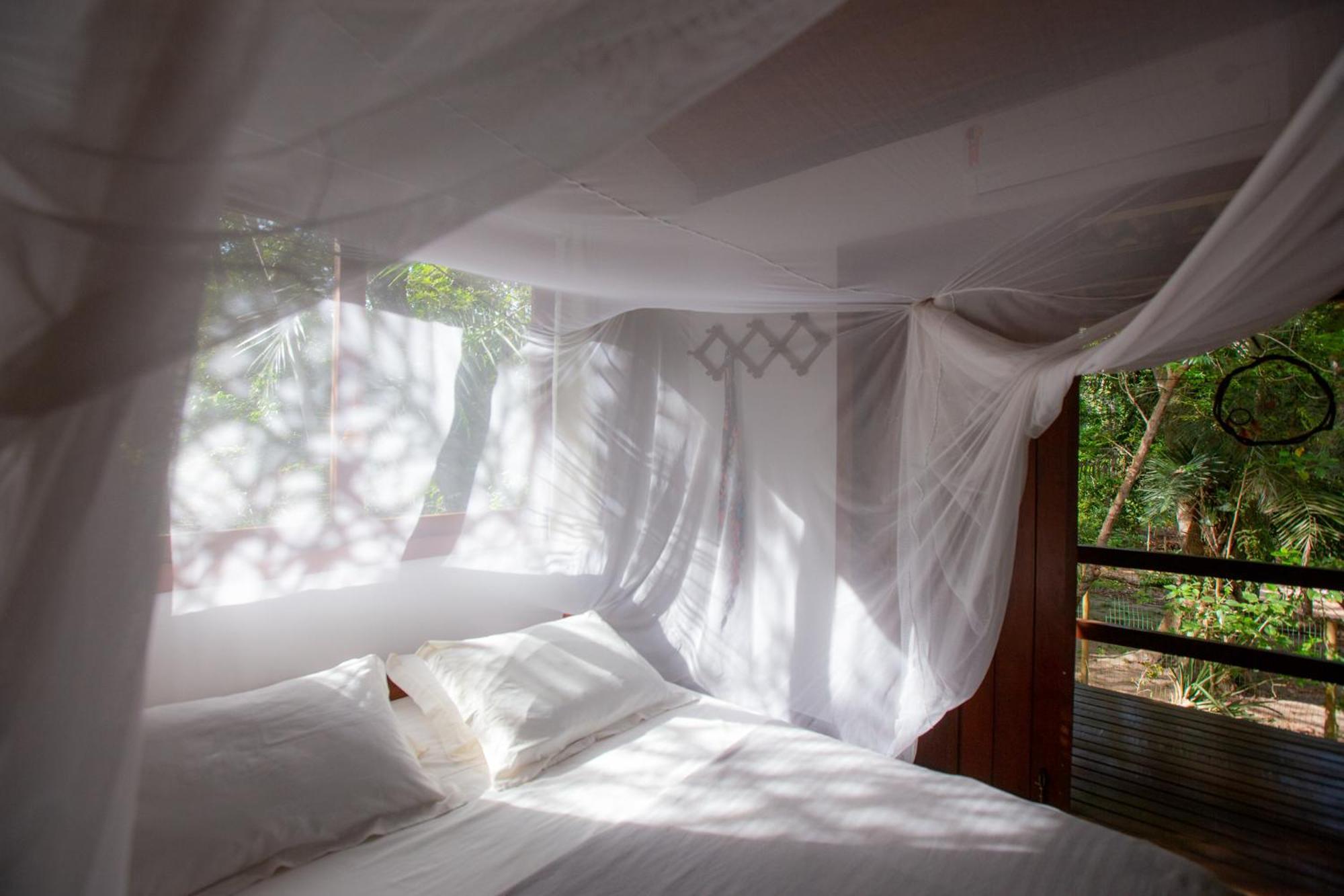 Recanto Dos Passaros Zen Apartamentos Em Meio De Natureza Praia do Forte Eksteriør bilde