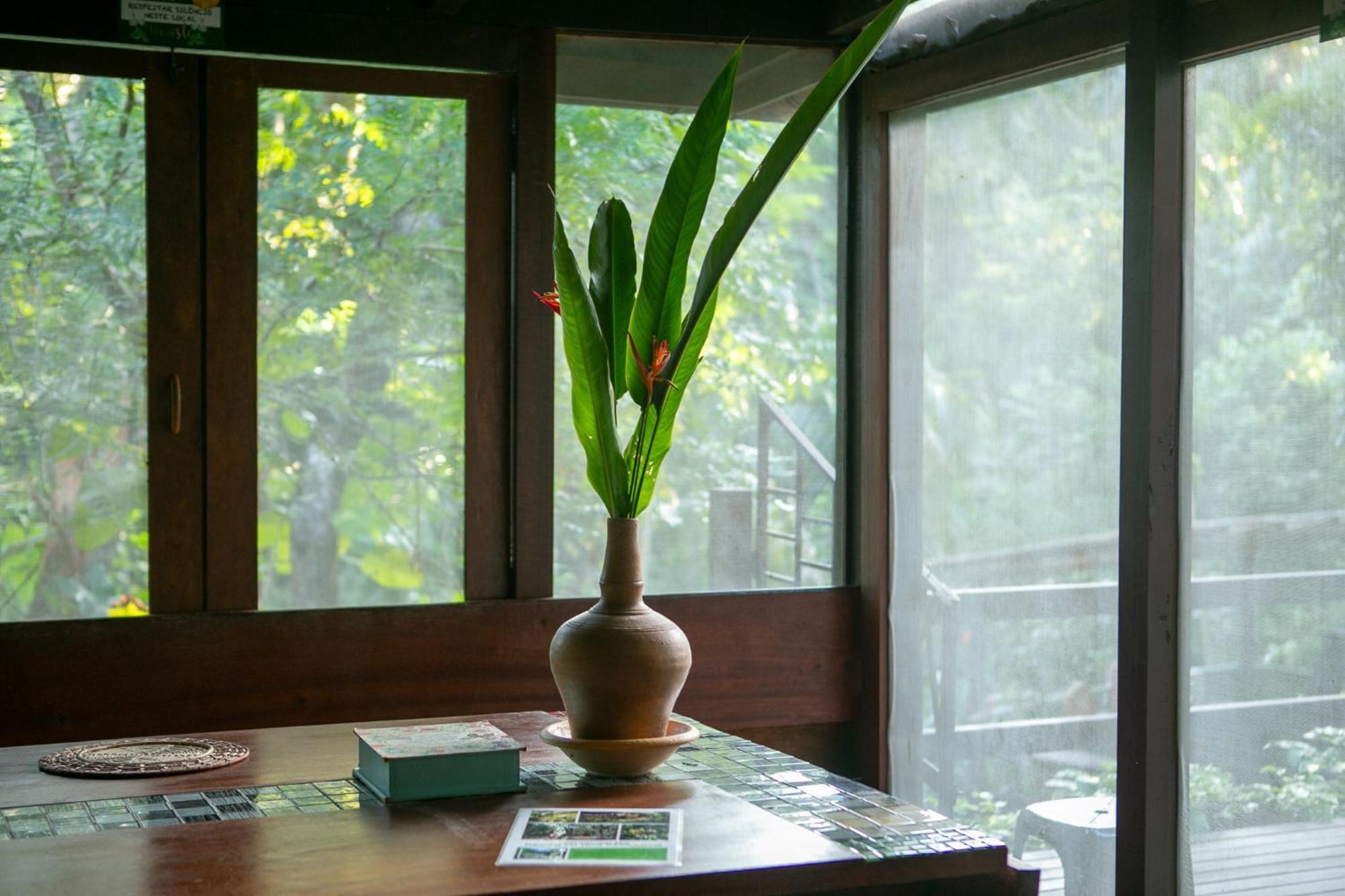 Recanto Dos Passaros Zen Apartamentos Em Meio De Natureza Praia do Forte Eksteriør bilde