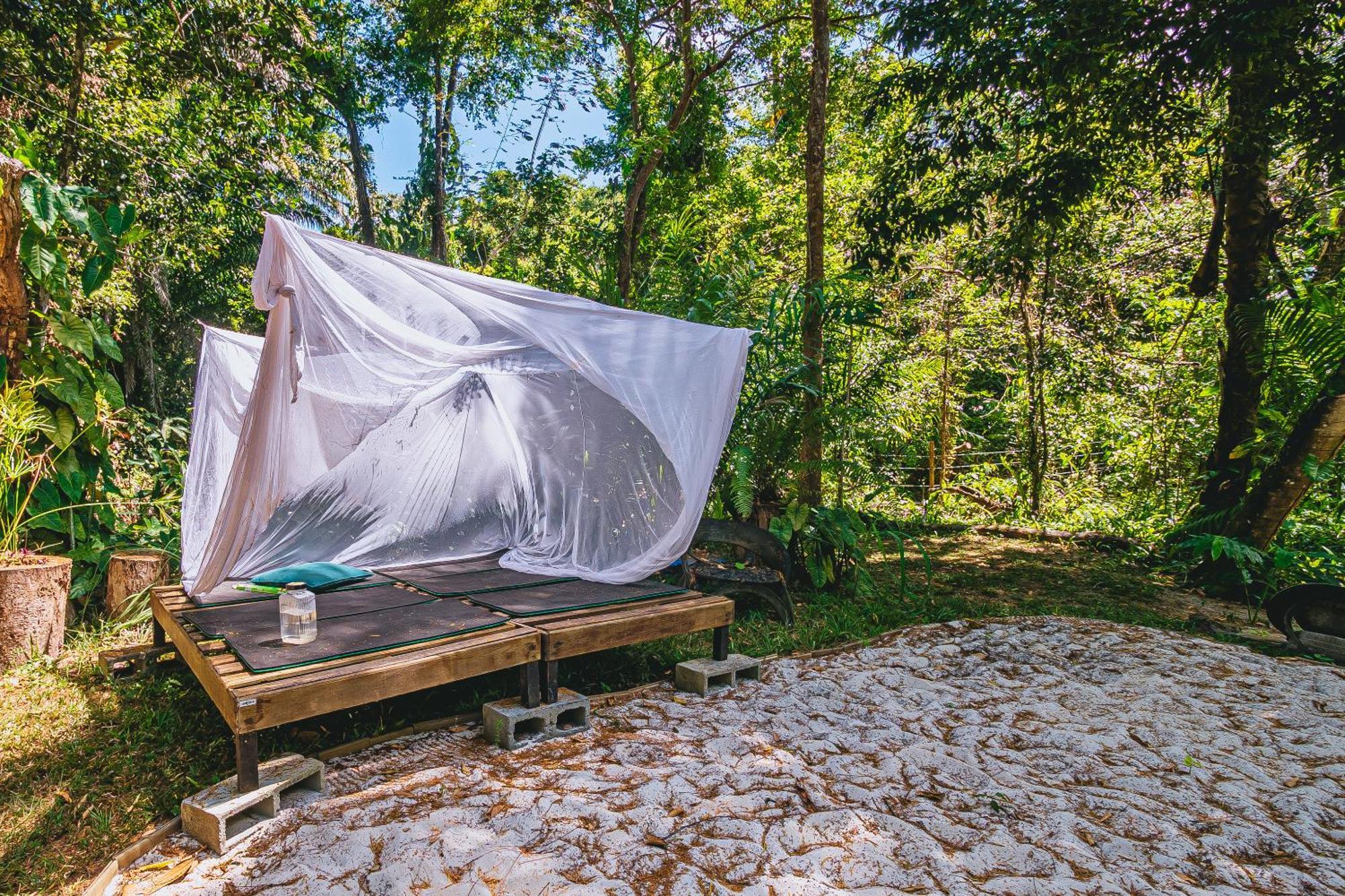 Recanto Dos Passaros Zen Apartamentos Em Meio De Natureza Praia do Forte Eksteriør bilde