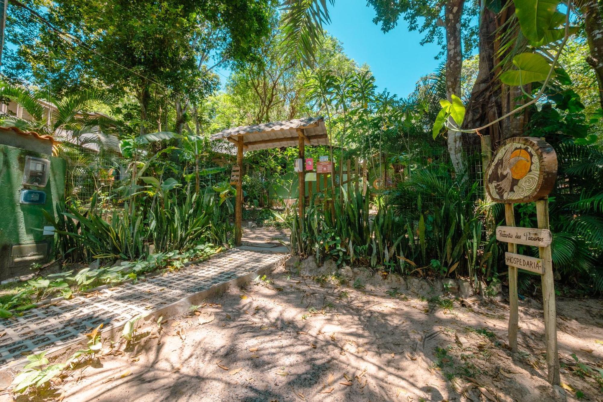 Recanto Dos Passaros Zen Apartamentos Em Meio De Natureza Praia do Forte Eksteriør bilde