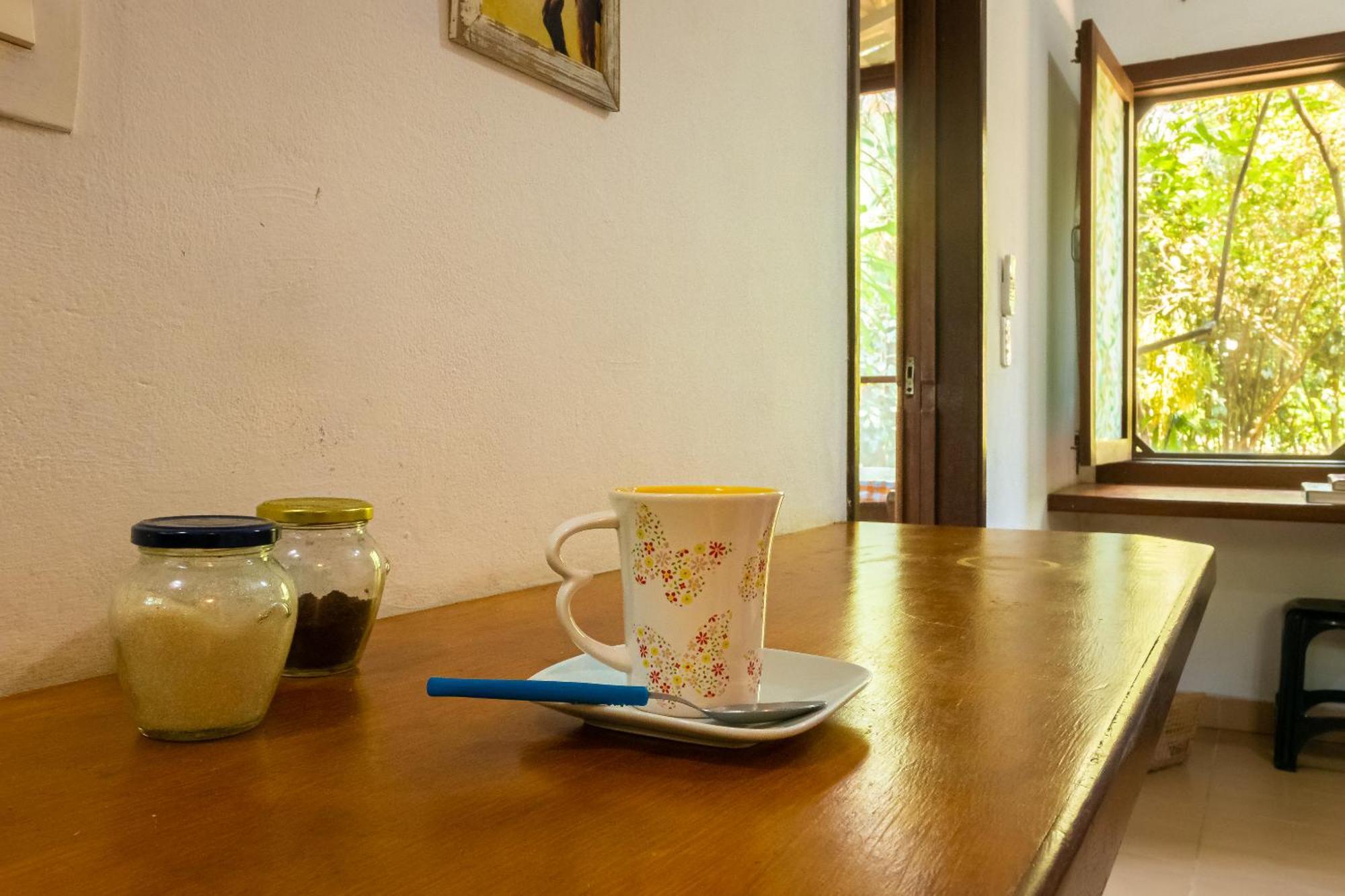 Recanto Dos Passaros Zen Apartamentos Em Meio De Natureza Praia do Forte Eksteriør bilde