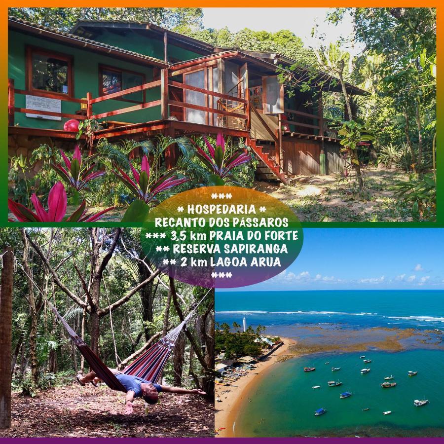 Recanto Dos Passaros Zen Apartamentos Em Meio De Natureza Praia do Forte Eksteriør bilde
